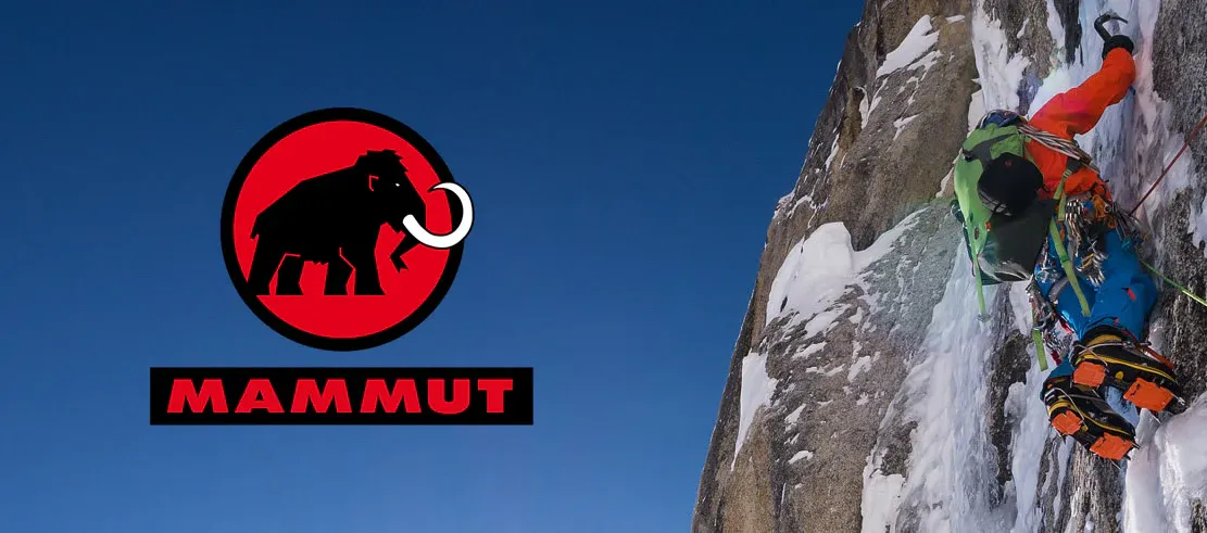 THE PHYSICS OF CLIMBING SAFETY